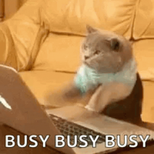 busy